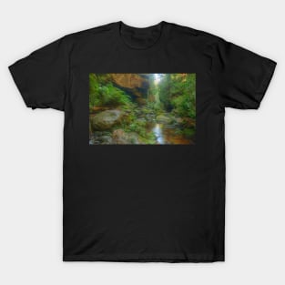 Grand Canyon Pool T-Shirt